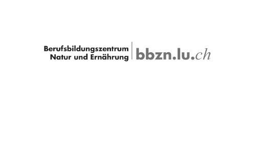 Logo BBZN neu